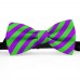 Papion barbati, violet, dungi oblice verde-mar