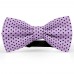 Papion mov-glycine, buline mici