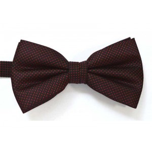 Papion negru FELICIA