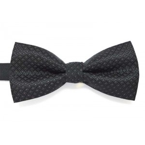 Papion negru KINGA