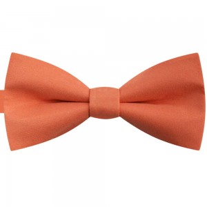  Papion barbati somon, clasic