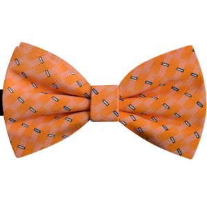 Papion caisa, desen geometric discret