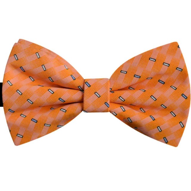 Papion caisa, desen geometric discret