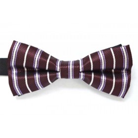 Papion colorat ADAM