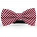 Papion butterfly, rosu bordo, imprimeu dungi albe inguste