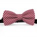 Papion butterfly, rosu bordo, imprimeu dungi albe inguste