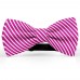 Papion butterfly, rosu violet, imprimeu dungi albe inguste
