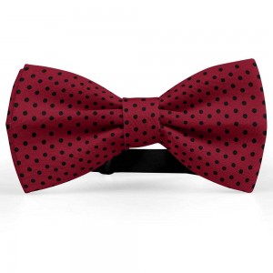 Papion rosu bordo, buline mici