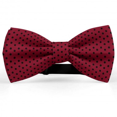 Papion rosu bordo, buline mici