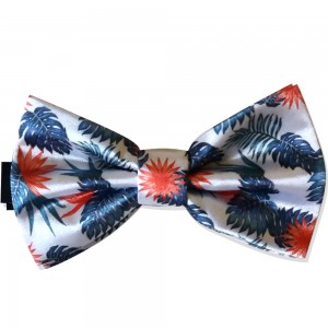 Papion butterfly, alb, model Paradis Tropical