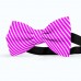 Papion butterfly, roz-magenta, imprimeu dungi albe inguste