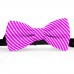 Papion butterfly, roz-magenta, imprimeu dungi albe inguste
