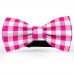 Papion barbati, alb-roz magenta fucsia, model carouri