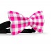 Papion barbati, alb-roz magenta fucsia, model carouri