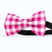 Papion barbati, alb-roz magenta fucsia, model carouri