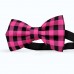 Papion barbati, negru-fucsia, model carouri