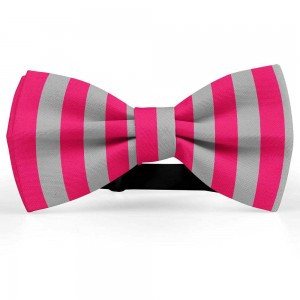 Papion bicolor, gri otel-roz fucsia, dungi late verticale
