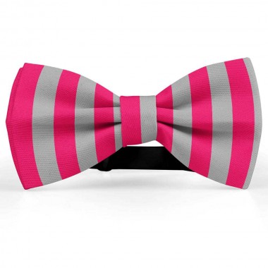 Papion bicolor, gri otel-roz fucsia, dungi late verticale