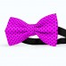 Papion roz-magenta buline mici