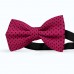 Papion roz-purpura, buline mici