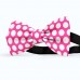 Papion roz fucsia, buline albe mari