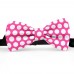 Papion roz fucsia, buline albe mari
