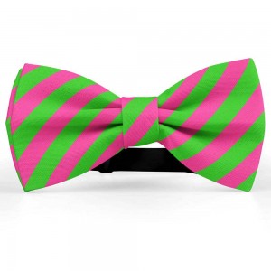 Papion barbati, roz-fucsia, dungi oblice verde-mar