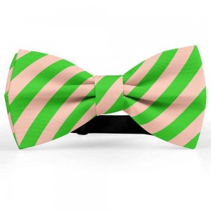 Papion barbati, roz-garoafa, dungi oblice verde-mar
