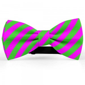 Papion barbati, roz-magenta, dungi oblice verde-mar