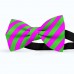 Papion barbati, roz-magenta, dungi oblice verde-mar