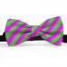 Papion barbati, roz-magenta, dungi oblice verde-mar