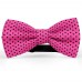 Papion fucsia, buline mici