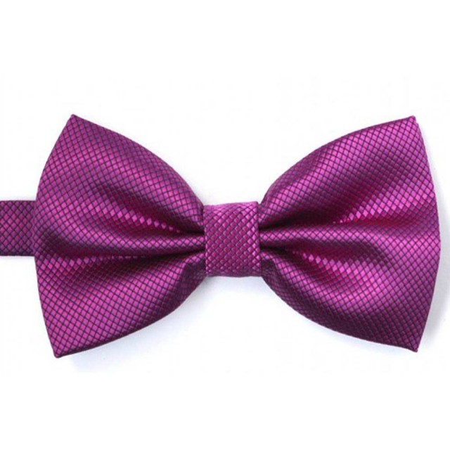Papion magenta, elegant, model Power of Rose