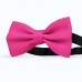 Papion roz-fuchsia, uni, simplu