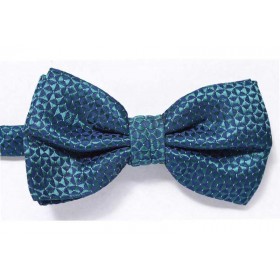 Papion elegant YOLANDA