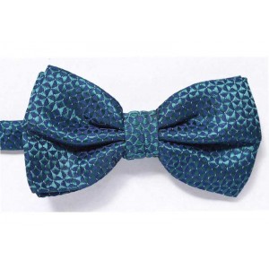 Papion elegant YOLANDA