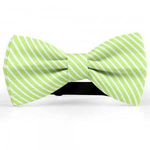 Papion butterfly, verde fistic, imprimeu dungi albe inguste