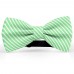 Papion butterfly, verde jad, imprimeu dungi albe inguste