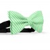 Papion butterfly, verde jad, imprimeu dungi albe inguste