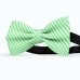 Papion butterfly, verde jad, imprimeu dungi albe inguste