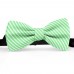 Papion butterfly, verde jad, imprimeu dungi albe inguste