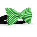 Papion butterfly, verde cuart, imprimeu dungi albe inguste