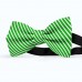 Papion butterfly, verde cuart, imprimeu dungi albe inguste
