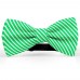 Papion butterfly, verde smarald, imprimeu dungi albe inguste