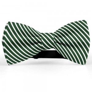 Papion butterfly, verde englez, imprimeu dungi albe inguste