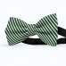 Papion butterfly, verde englez, imprimeu dungi albe inguste