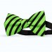 Papion barbati, verde-absint, dungi negre late oblice
