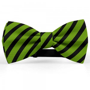 Papion barbati, verde-avocado, dungi negre late oblice