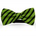 Papion barbati, verde-avocado, dungi negre late oblice
