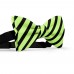 Papion barbati, verde-fistic, dungi negre late oblice